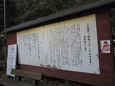 20091104_tei_0350_thumb.jpg