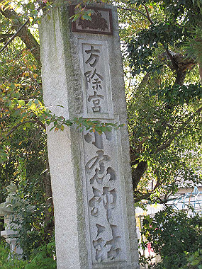 20091104_tei_0353_thumb.jpg