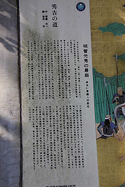 20091104_tou_0528_thumb.jpg