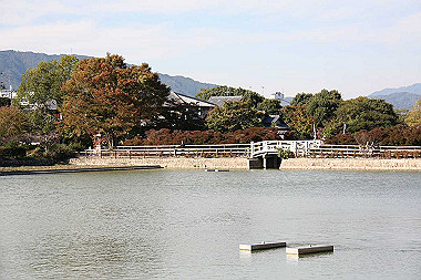 20091104_tou_0585_thumb.jpg