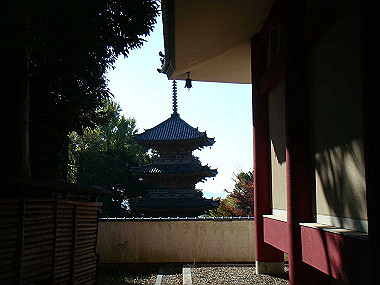 20091104_tsu_0152_thumb.jpg