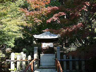 20091104_tsu_0154_thumb.jpg