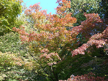 20091104_tsu_0155_thumb.jpg