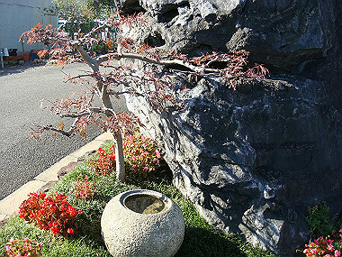 20091104_tsu_0214_thumb.jpg
