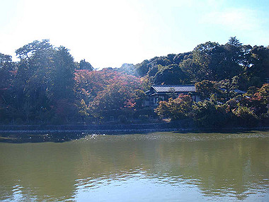 20091104_tsu_0219_thumb.jpg