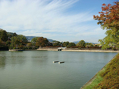 20091104_tsu_0220_thumb.jpg