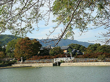 20091104_tsu_0223_thumb.jpg
