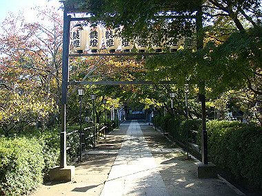 20091104_tsu_0233_thumb.jpg