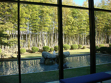 20091104_tsu_0241_thumb.jpg