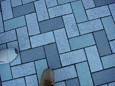 20091104_tsu_0244_thumb.jpg