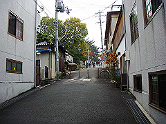 dsc00263_thumb.jpg