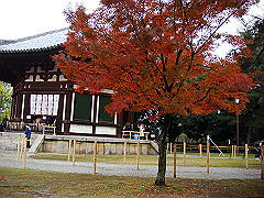 dsc00264_thumb.jpg