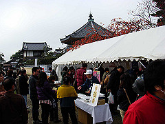 dsc00265_thumb.jpg