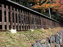 dsc00267_thumb.jpg