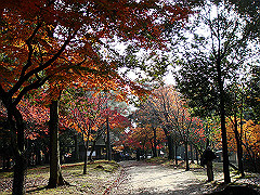 dsc00270_thumb.jpg