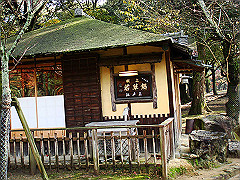 dsc00272_thumb.jpg