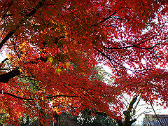 dsc00273_thumb.jpg