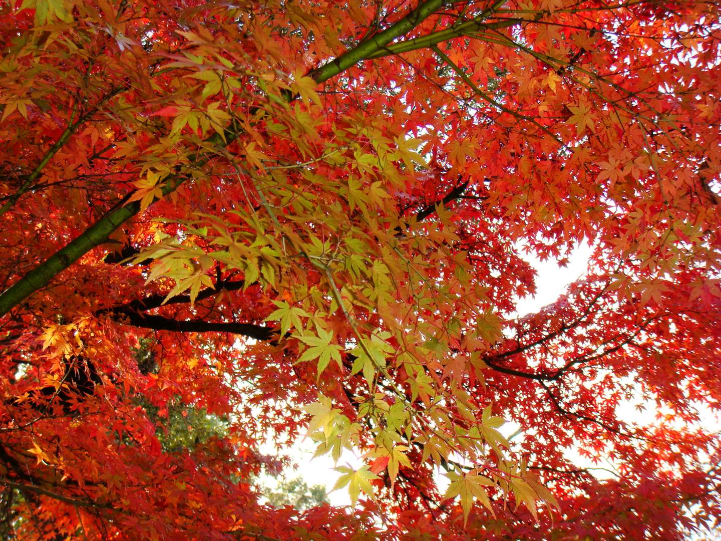 dsc00274.jpg