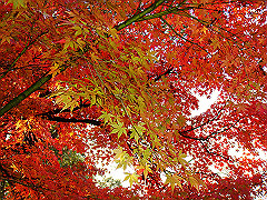 dsc00274_thumb.jpg