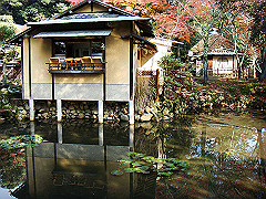 dsc00276_thumb.jpg