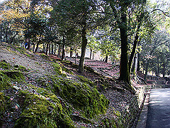 dsc00279_thumb.jpg