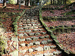 dsc00280_thumb.jpg