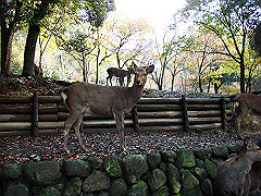 dsc00281_thumb.jpg