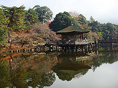 dsc00287_thumb.jpg