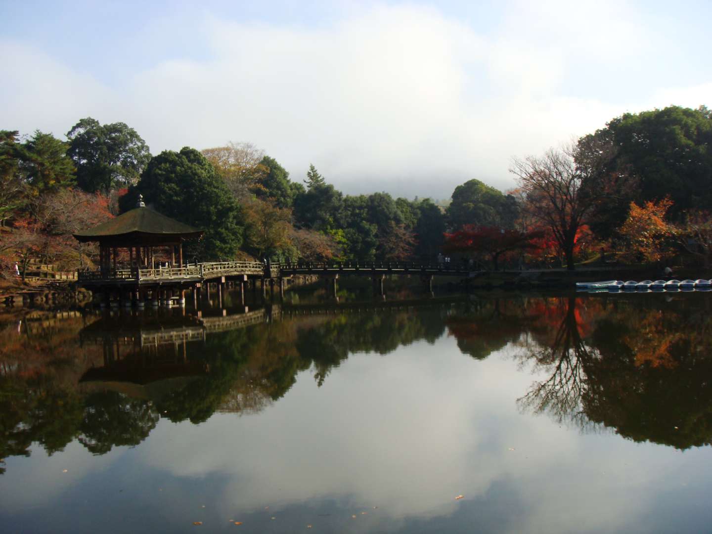 dsc00288.jpg