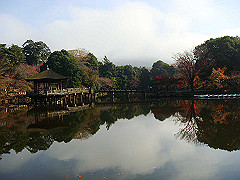 dsc00288_thumb.jpg