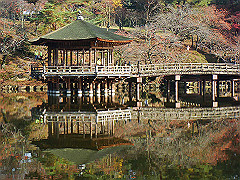 dsc00291_thumb.jpg