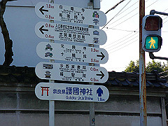 dsc00298_thumb.jpg