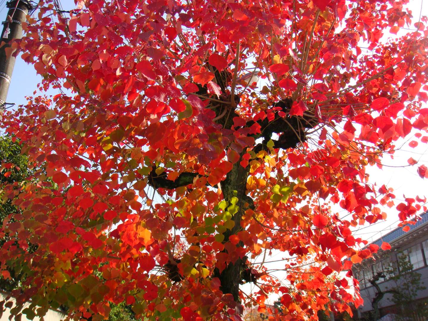 dsc00300.jpg