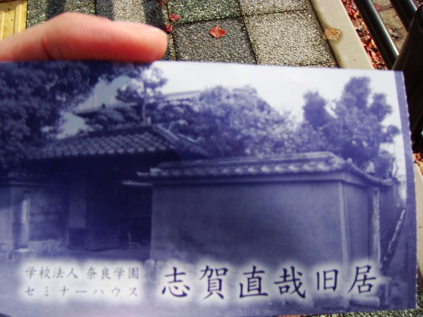 dsc00302.jpg