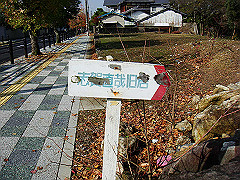 dsc00303_thumb.jpg