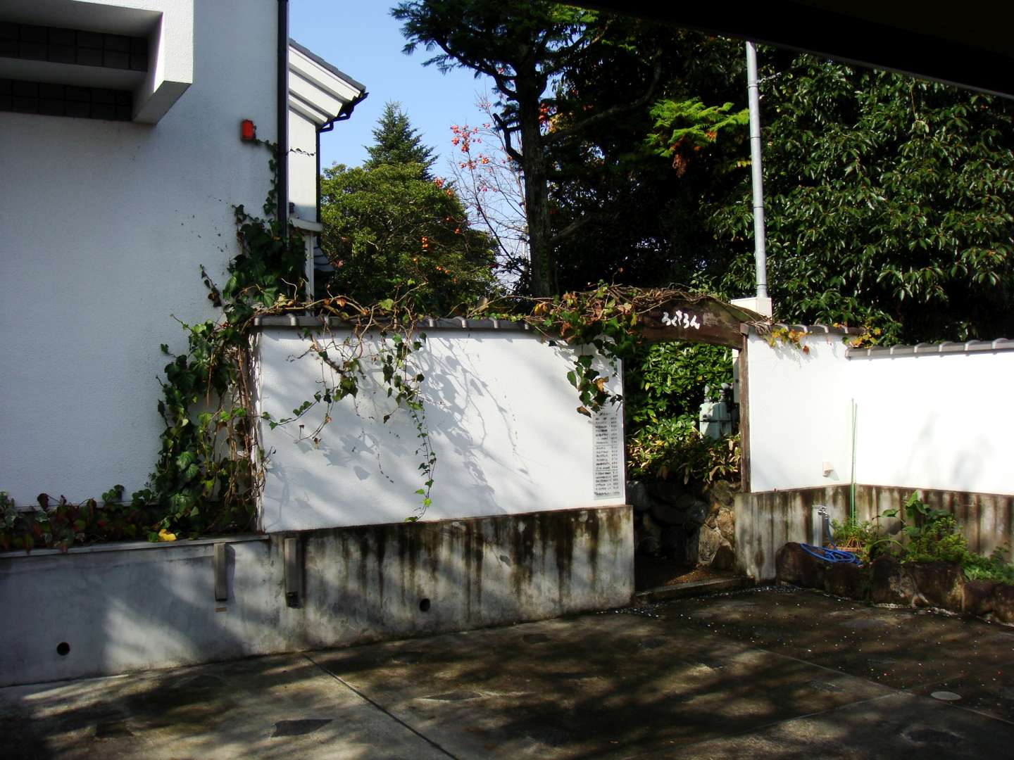 dsc00305.jpg