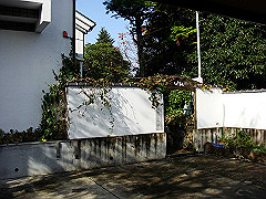 dsc00305_thumb.jpg