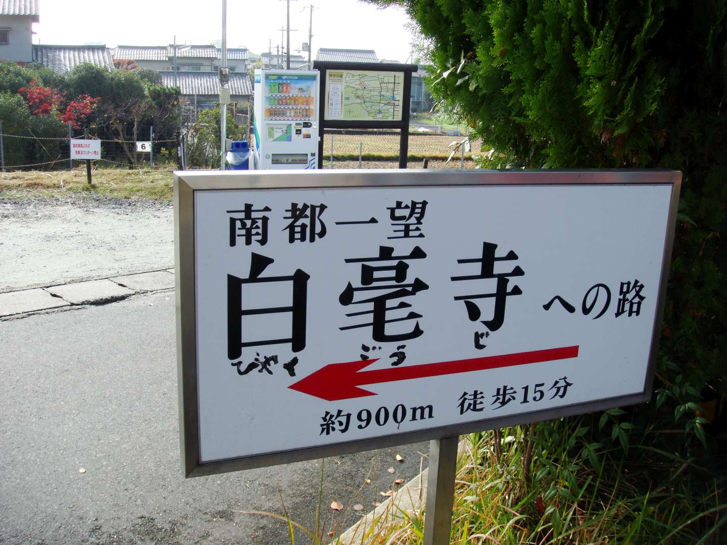 dsc00308.jpg
