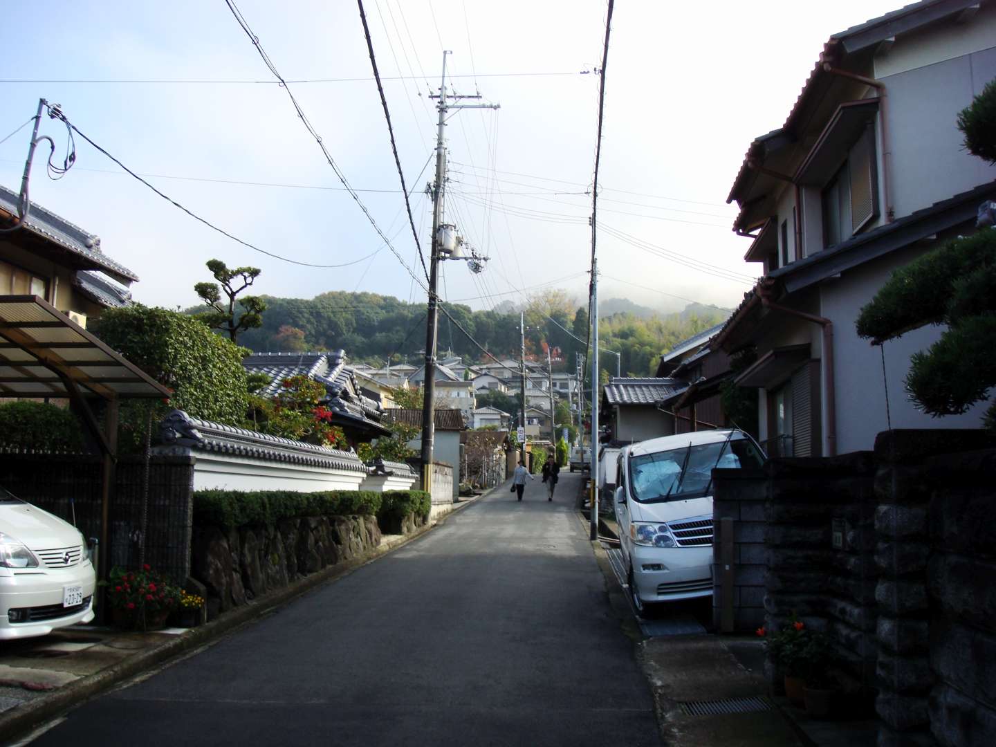 dsc00312.jpg