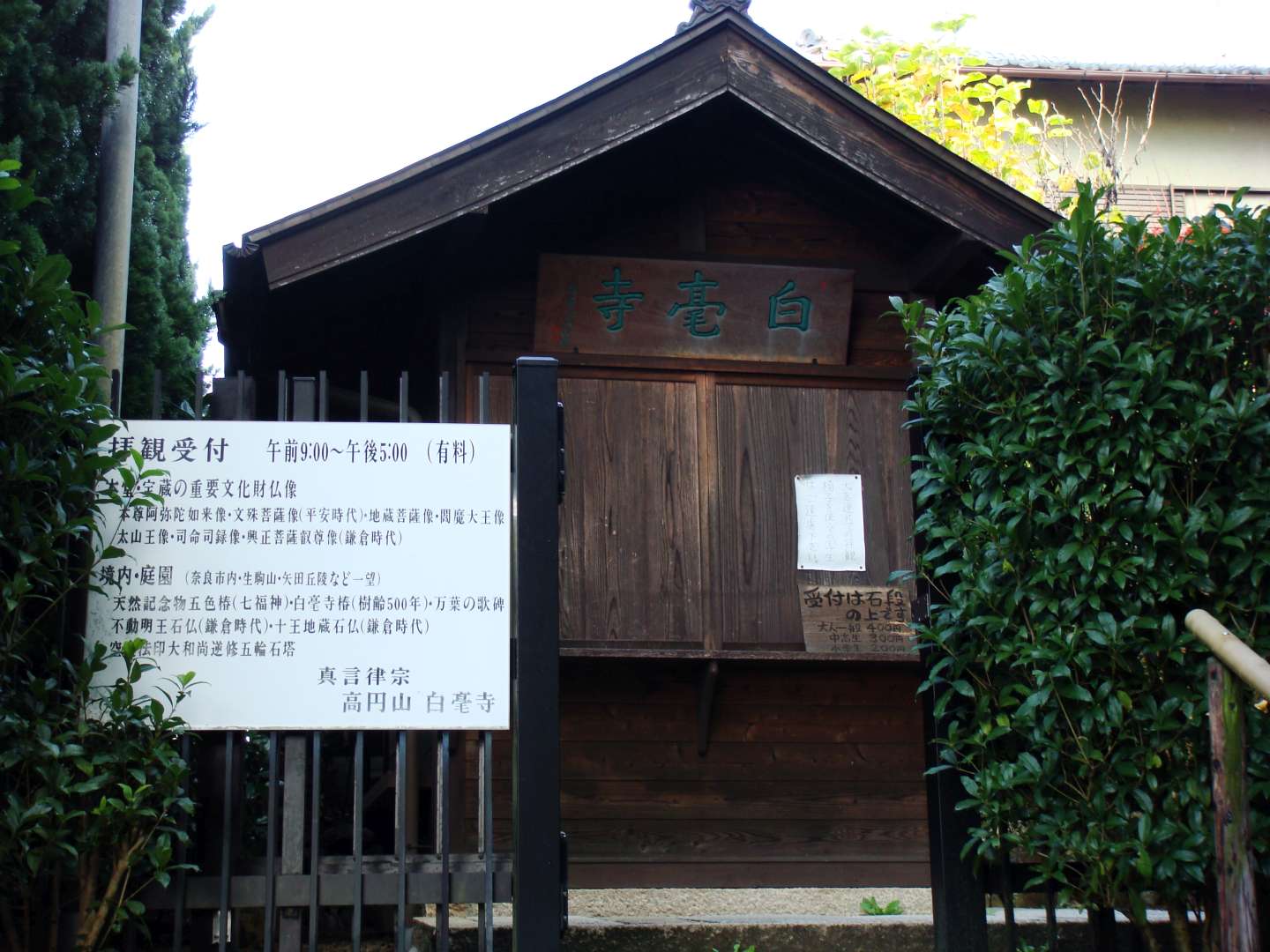 dsc00314.jpg