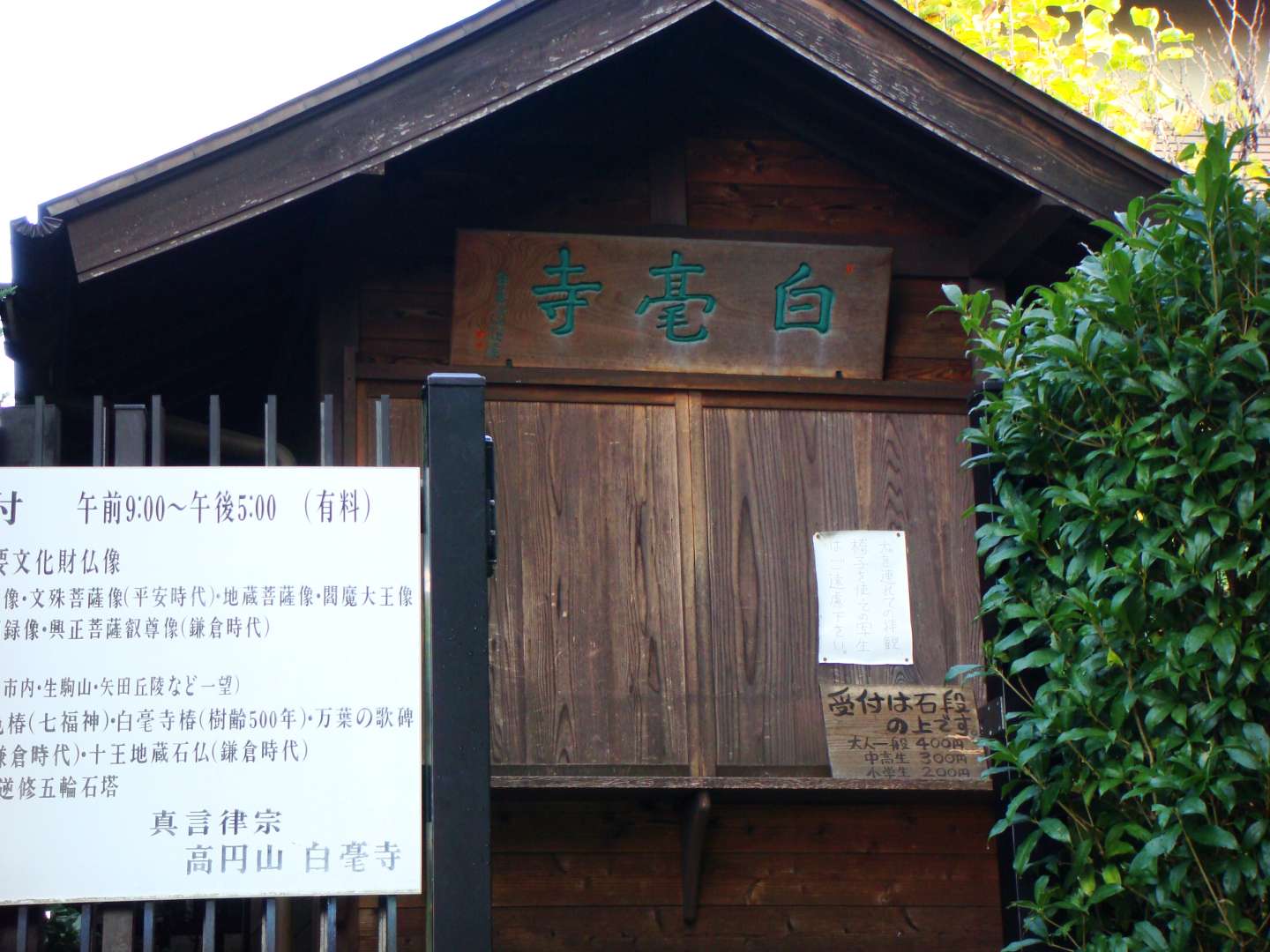 dsc00315.jpg