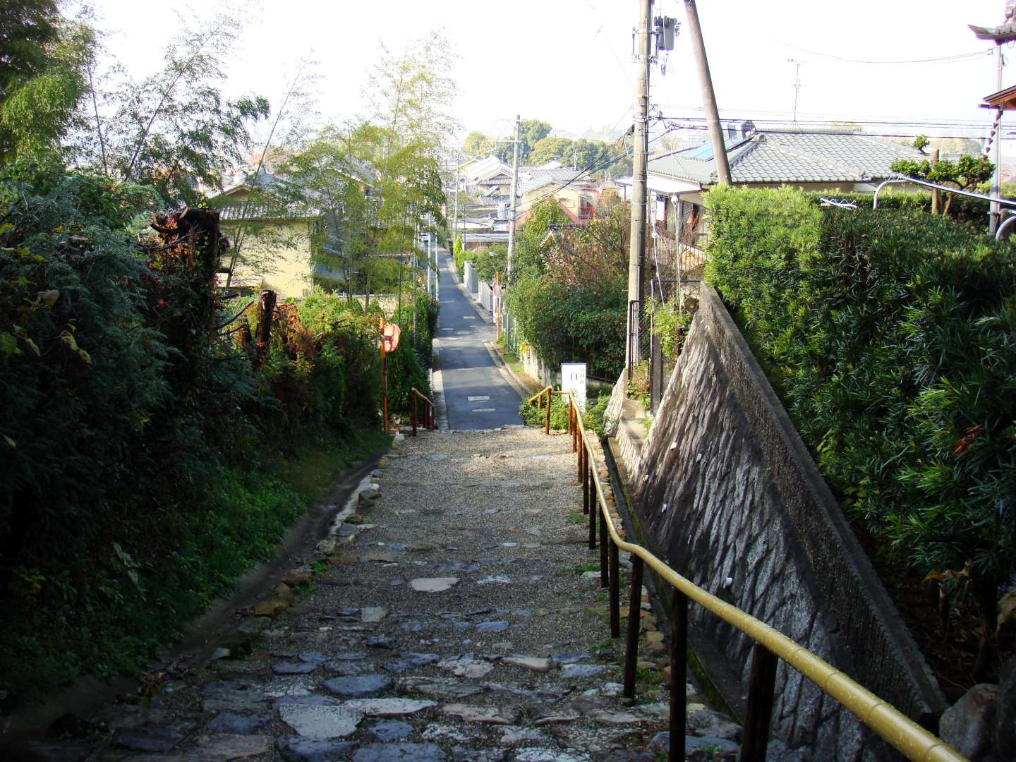 dsc00317.jpg