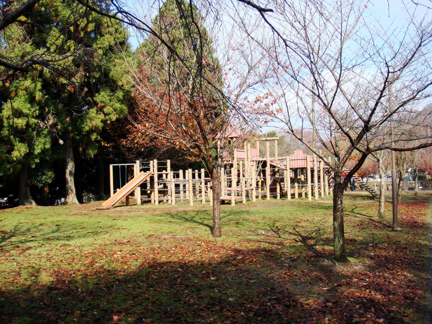 dsc00320.jpg