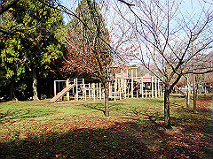 dsc00320_thumb.jpg
