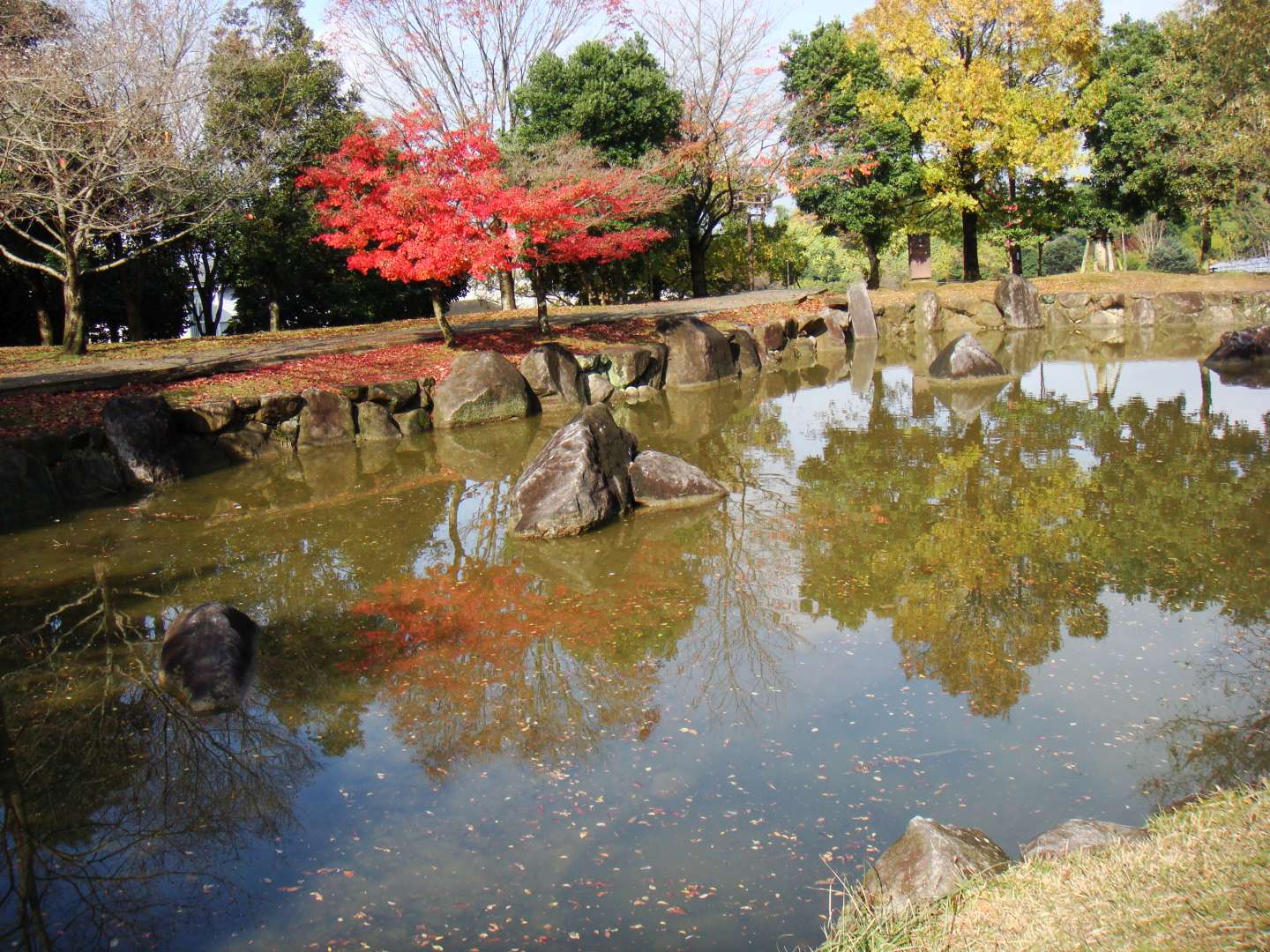 dsc00322.jpg