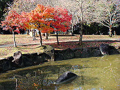 dsc00323_thumb.jpg