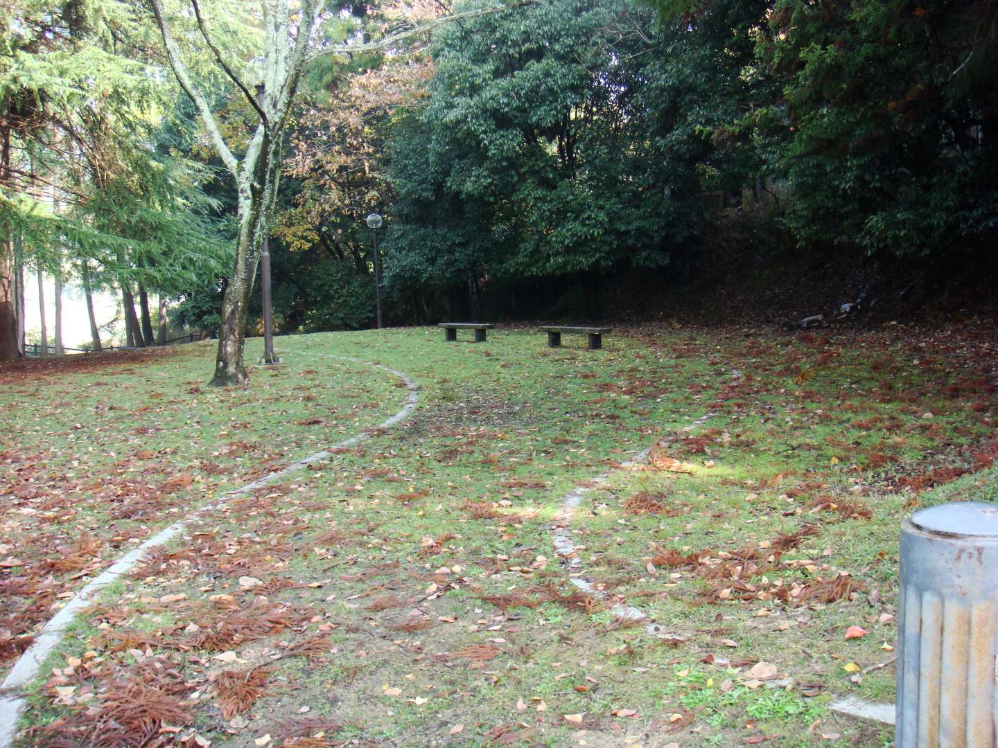 dsc00324.jpg