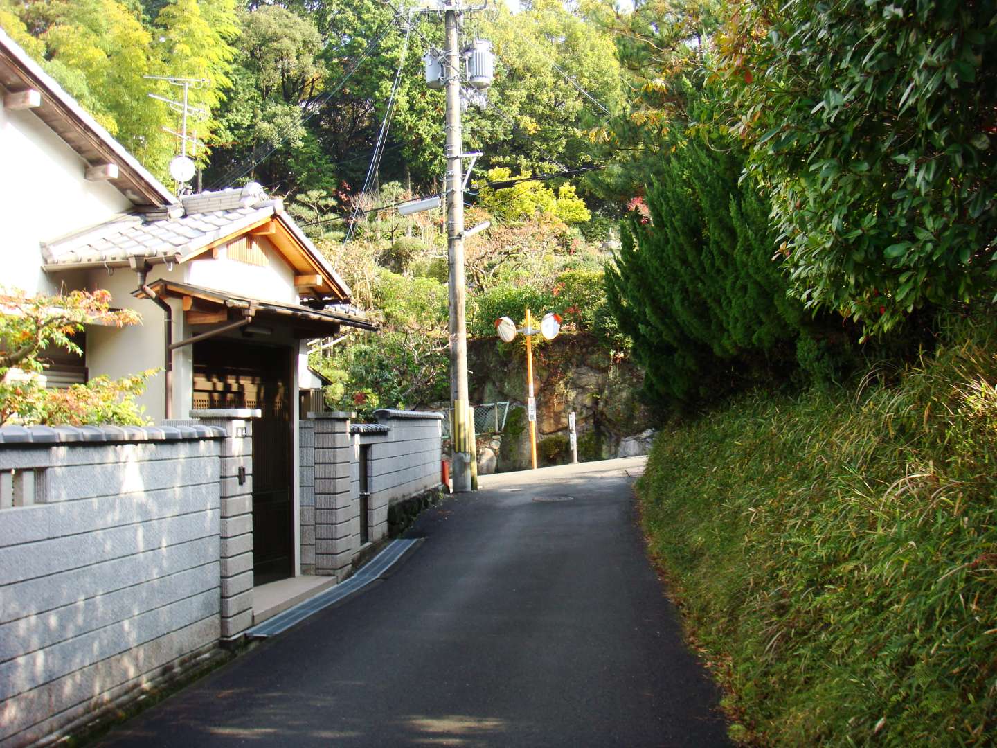 dsc00327.jpg