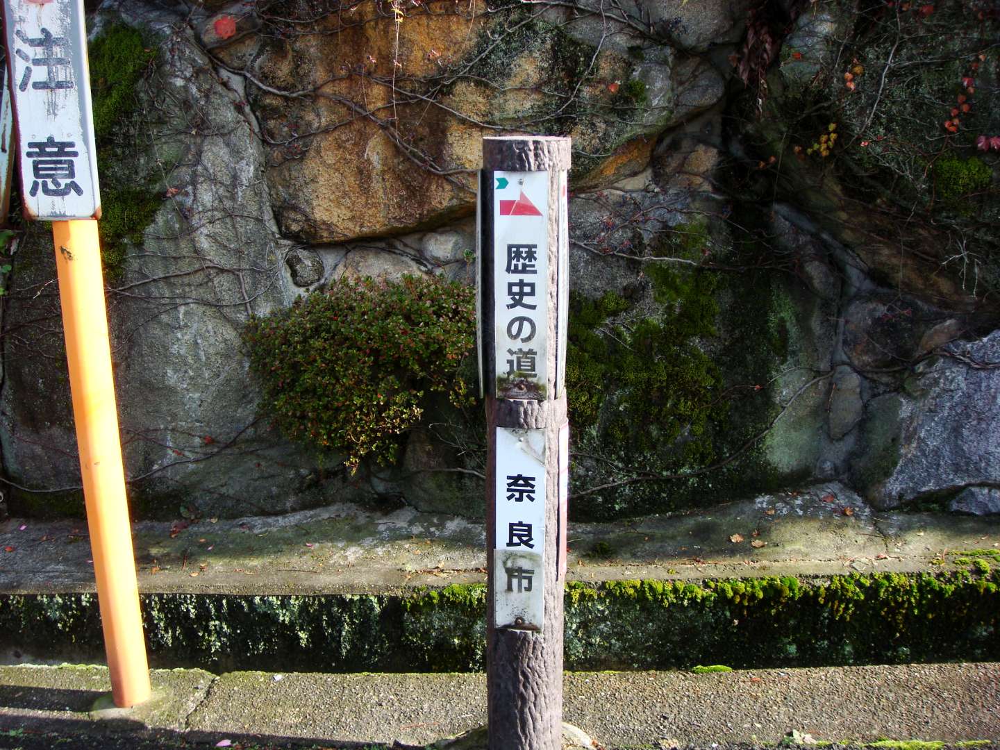 dsc00328.jpg