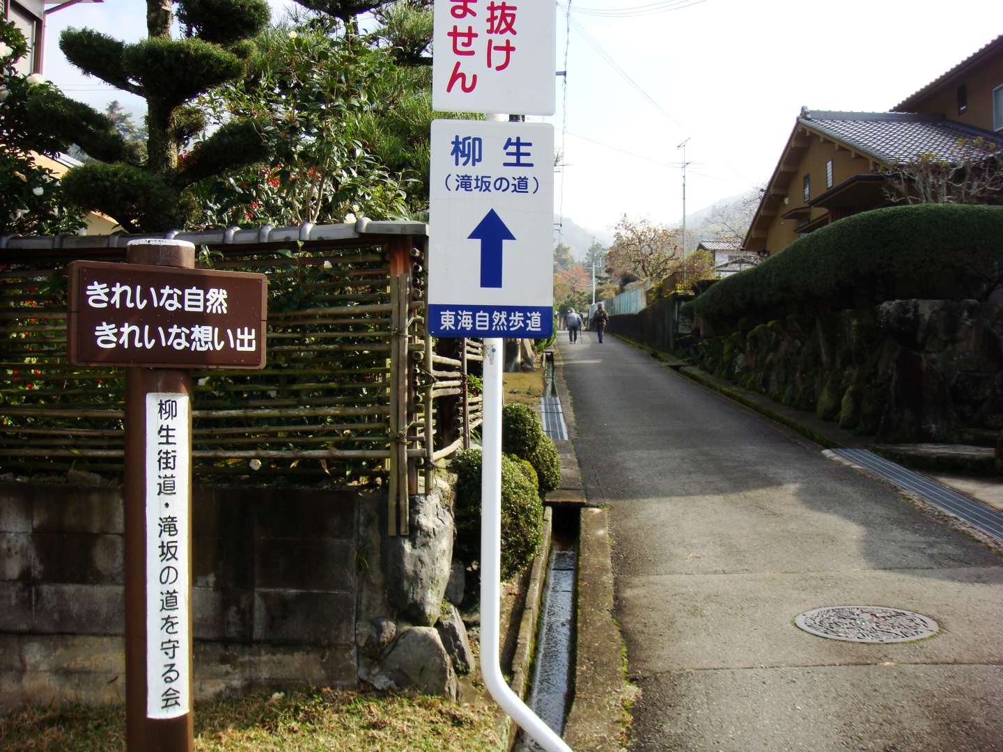 dsc00329.jpg